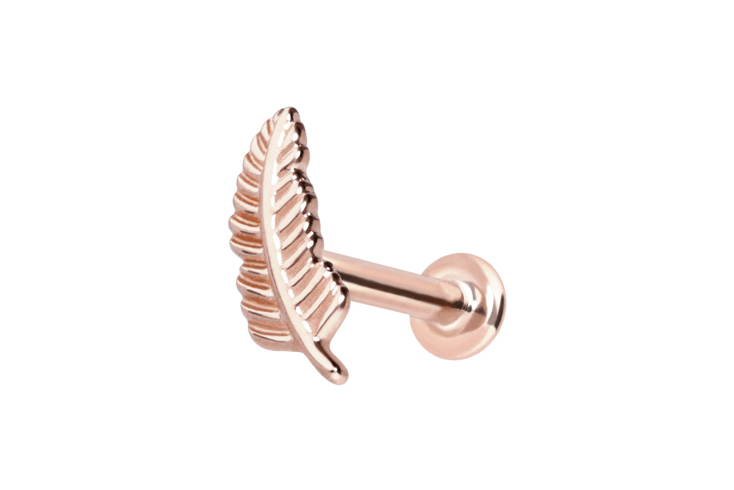 14 Karat Gold Labret Piercing mit Innengewinde FEDER